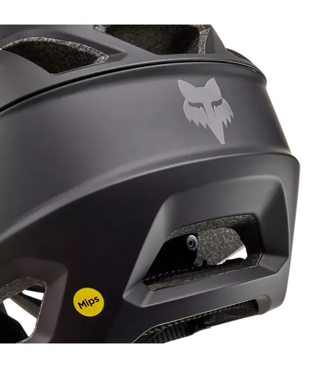 Proframe Matte Helmet