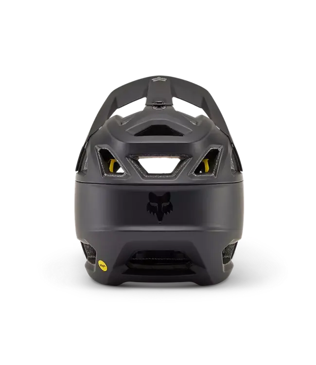 Proframe Matte Helmet