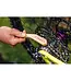 Brosse the Drivetrain