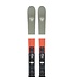 Sprayer Xp10 Skis