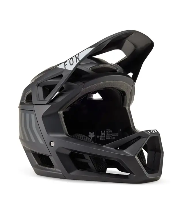 Proframe Helmet