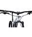 Stumpjumper EVO Comp Alloy 2023