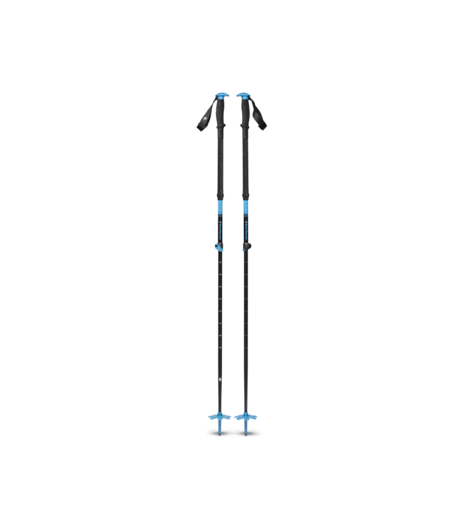 Bâtons Expedition Ski