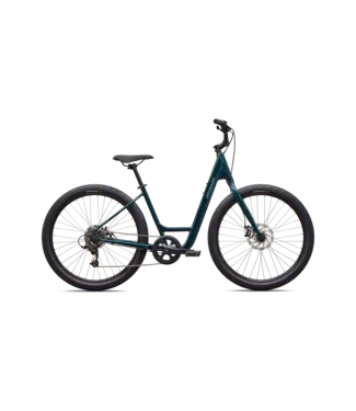 Specialized Roll 2.0 Low Entry Bike