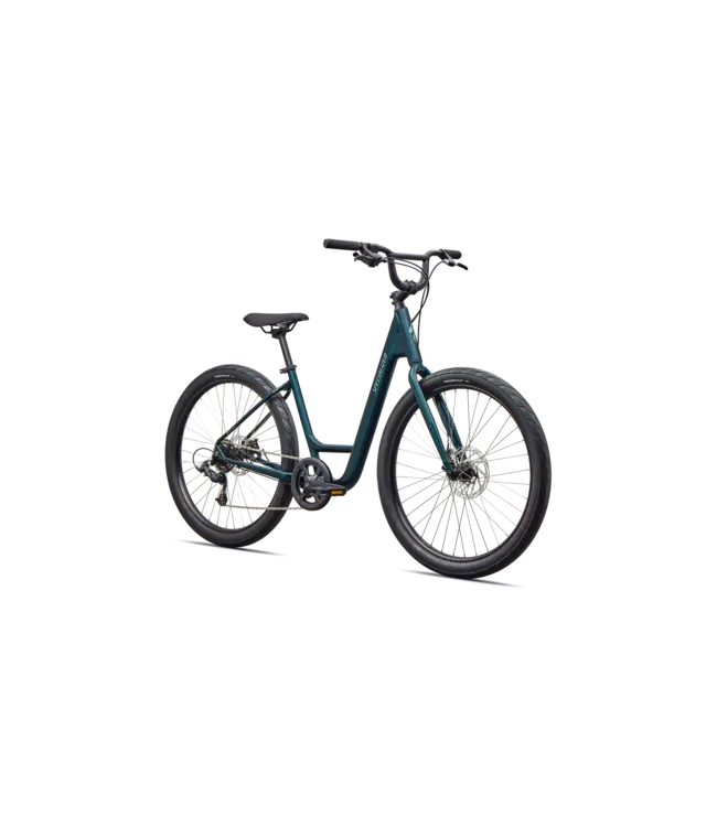 Roll 2.0 Low Entry 2026 Bike