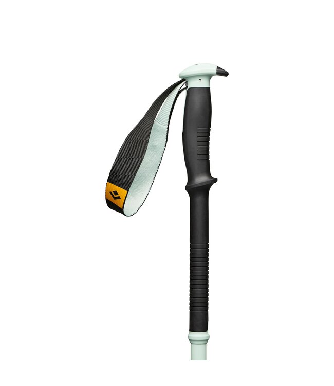 Bâtons Traverse Pro