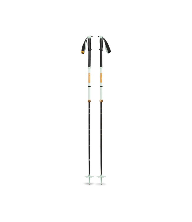 Traverse Pro Ski Poles