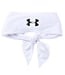 UA Armour Tie