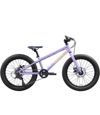 Norco Bicycles Storm 20 Disc Bike