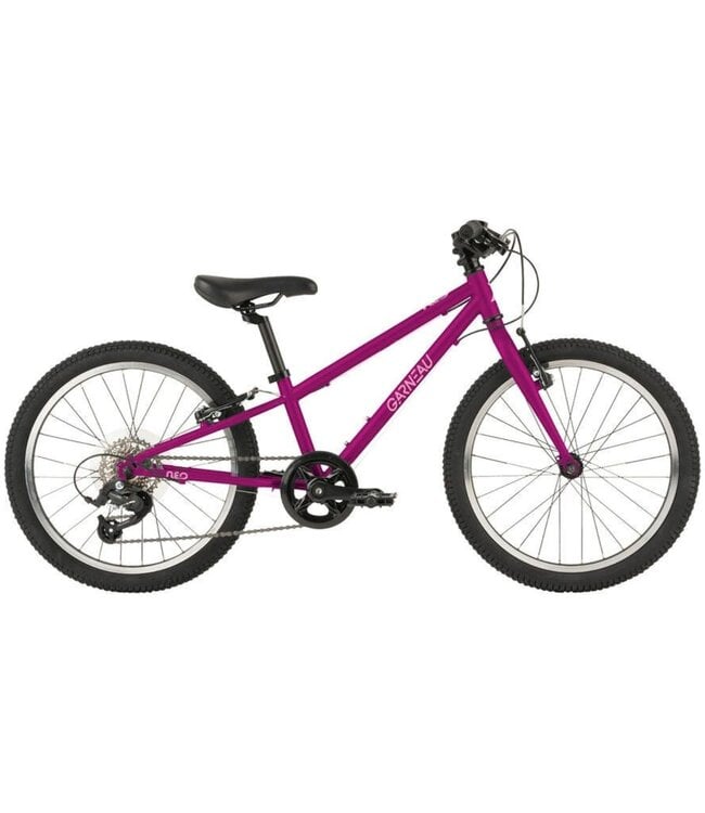 Vélo Neo 207