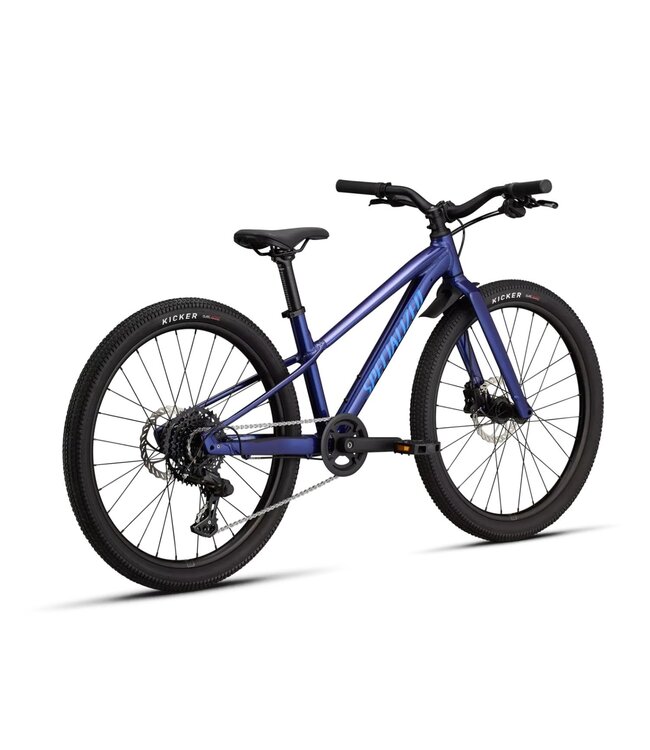 Riprock 24 2026 Bike