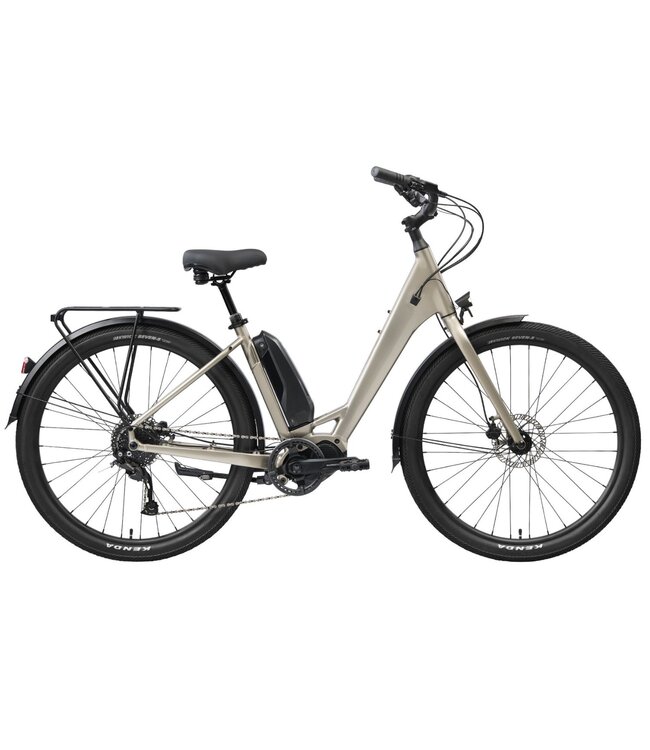 Scene VLT E-Bike
