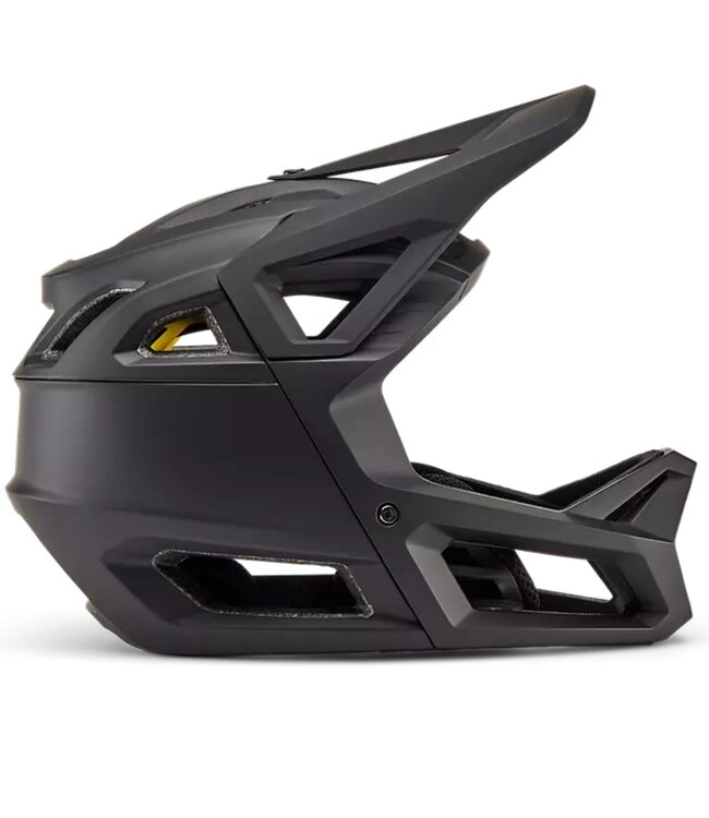 Proframe Matte Helmet