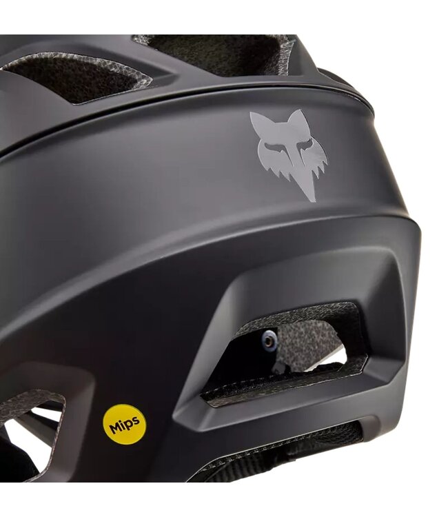 Proframe Matte Helmet