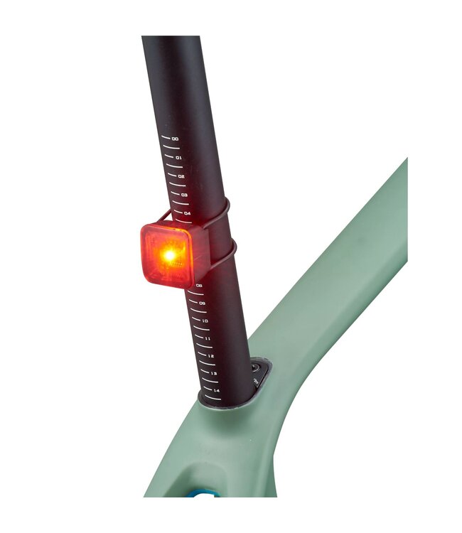 Flash Pack Light Set