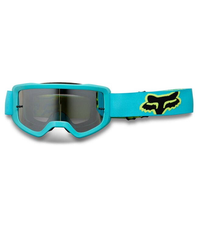 Main Stray Goggle