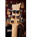 Riversong Riversong Pacific P550A Acoustic
