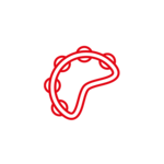 Percussion and Rhythm