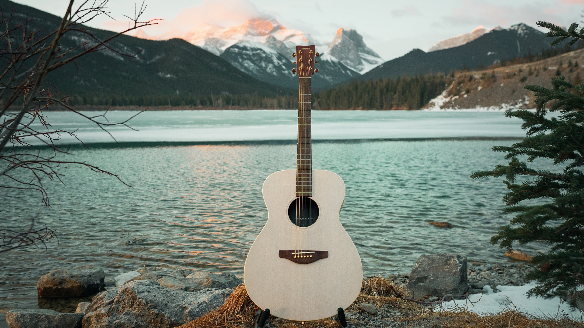 Yamaha Storia I Folk Acoustic Electric white top - Roosters