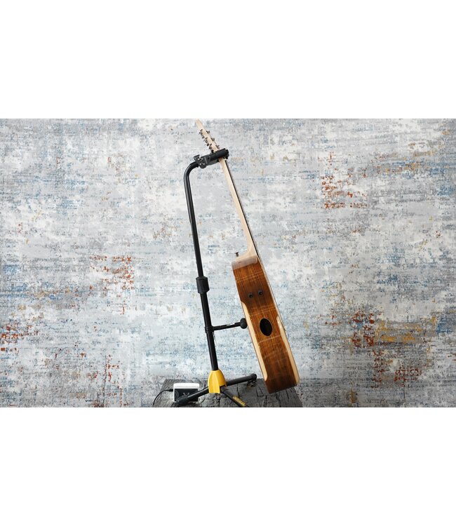 Riversong P2P Grand Auditorium + Softshell Case