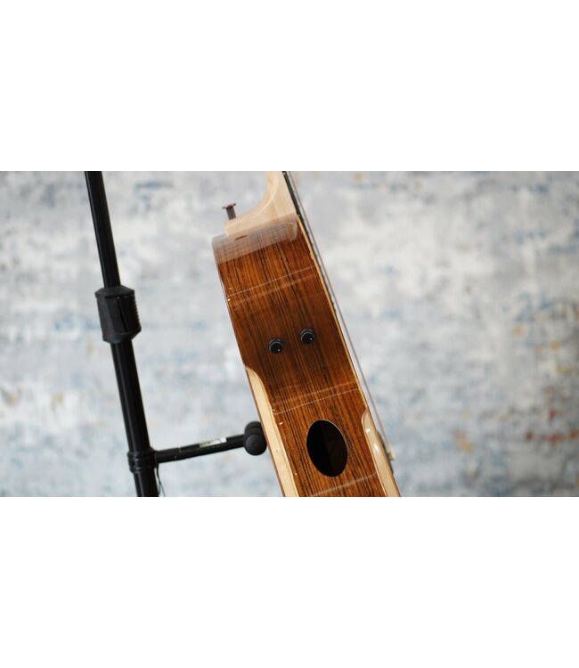 Riversong P2P Grand Auditorium + Softshell Case