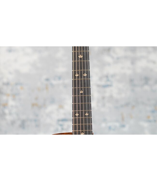 Riversong P2P Grand Auditorium + Softshell Case