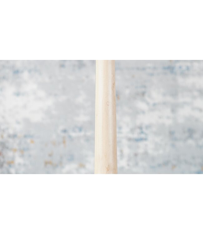 Riversong P2P Grand Auditorium + Softshell Case