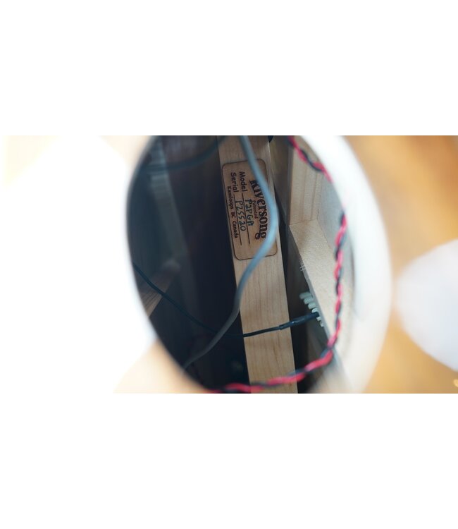 Riversong P2P Grand Auditorium + Softshell Case