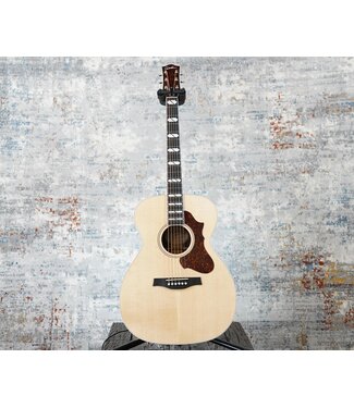 Godin - Roosters Acoustics