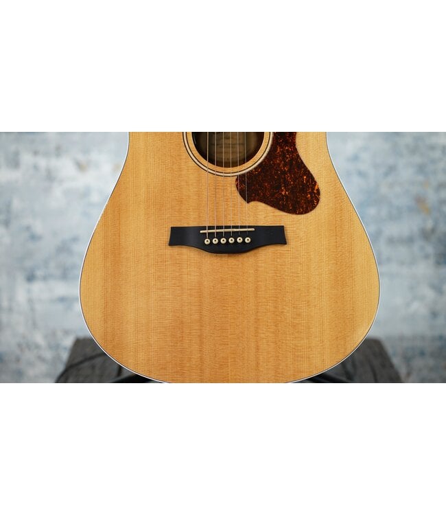 Godin Godin Metropolis LTD Natural HG EQ + TRIC Case