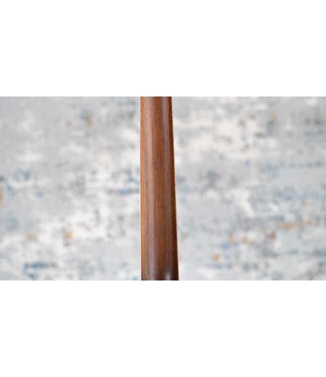 Riversong Vienna A/E Parlor + Hardshell Case