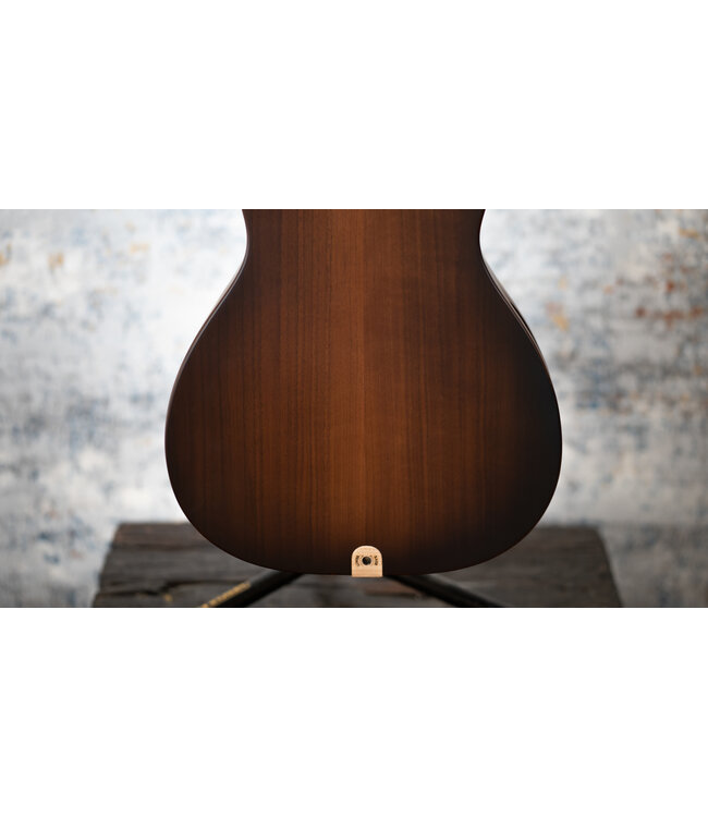 Riversong Vienna A/E Parlor + Hardshell Case