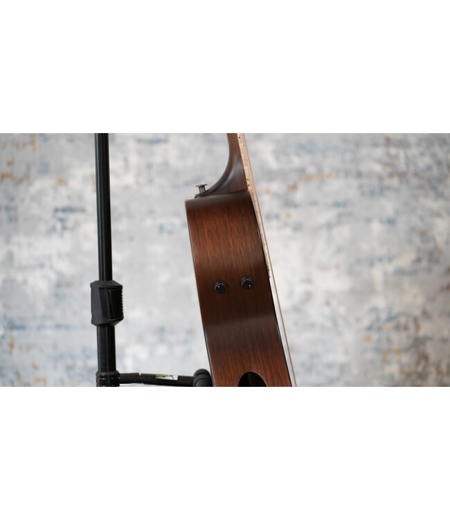 Riversong Vienna A/E Parlor + Hardshell Case