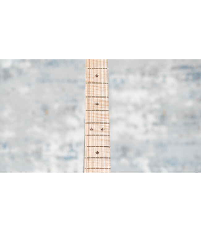 Riversong Vienna A/E Parlor + Hardshell Case