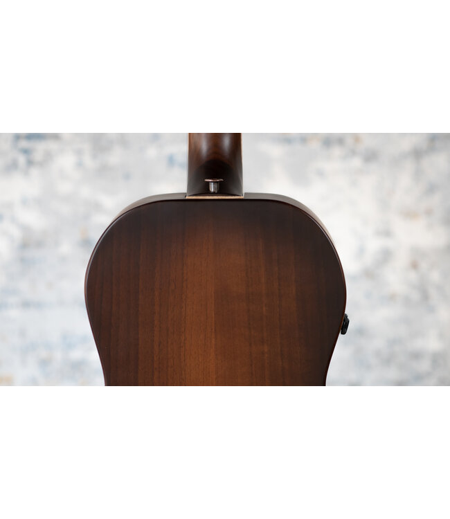 Riversong Vienna A/E Parlor + Hardshell Case