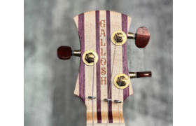 Gallosh Guitars