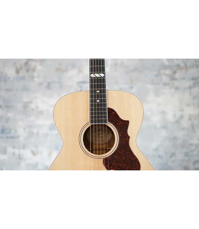 Godin Godin Fairmount CH Natural HG EQ + Tric Case