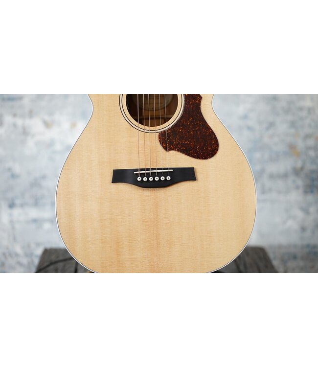 Godin Godin Fairmount CH Natural HG EQ + Tric Case