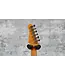 Godin Session T-Pro Ltd Kanyon Burst MN with Bag