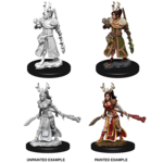 WizKids D&D Nolzur's Marvelous Miniatures: Human Druid, Female