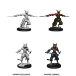 WizKids D&D Nolzur's Marvelous Miniatures: Tabaxi Rogue, Female