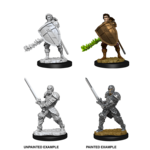WizKids D&D Nolzur's Marvelous Miniatures: Human Fighter, Male