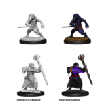 WizKids D&D Nolzur's Marvelous Miniatures: Kenku Adventurers