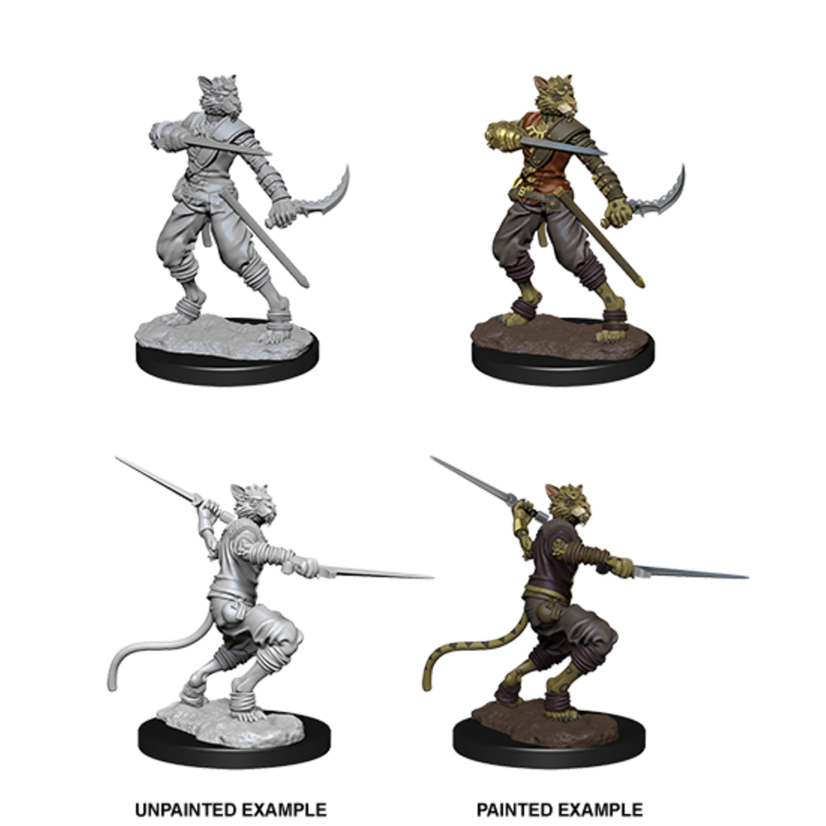 WizKids D&D Nolzur's Marvelous Miniatures: Tabaxi Rogue, Male