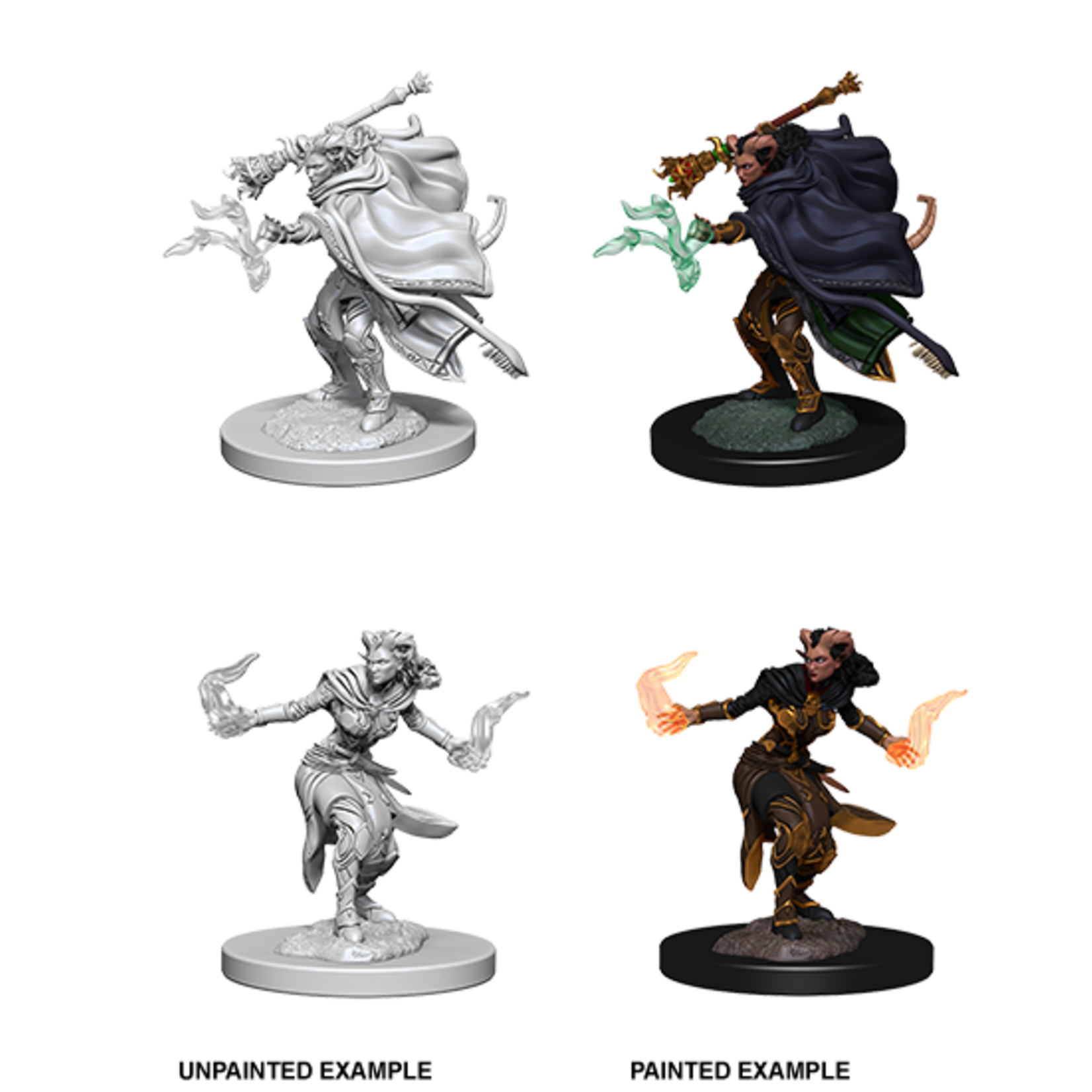 WizKids D&D Nolzur's Marvelous Miniatures: Tiefling Warlock, Female