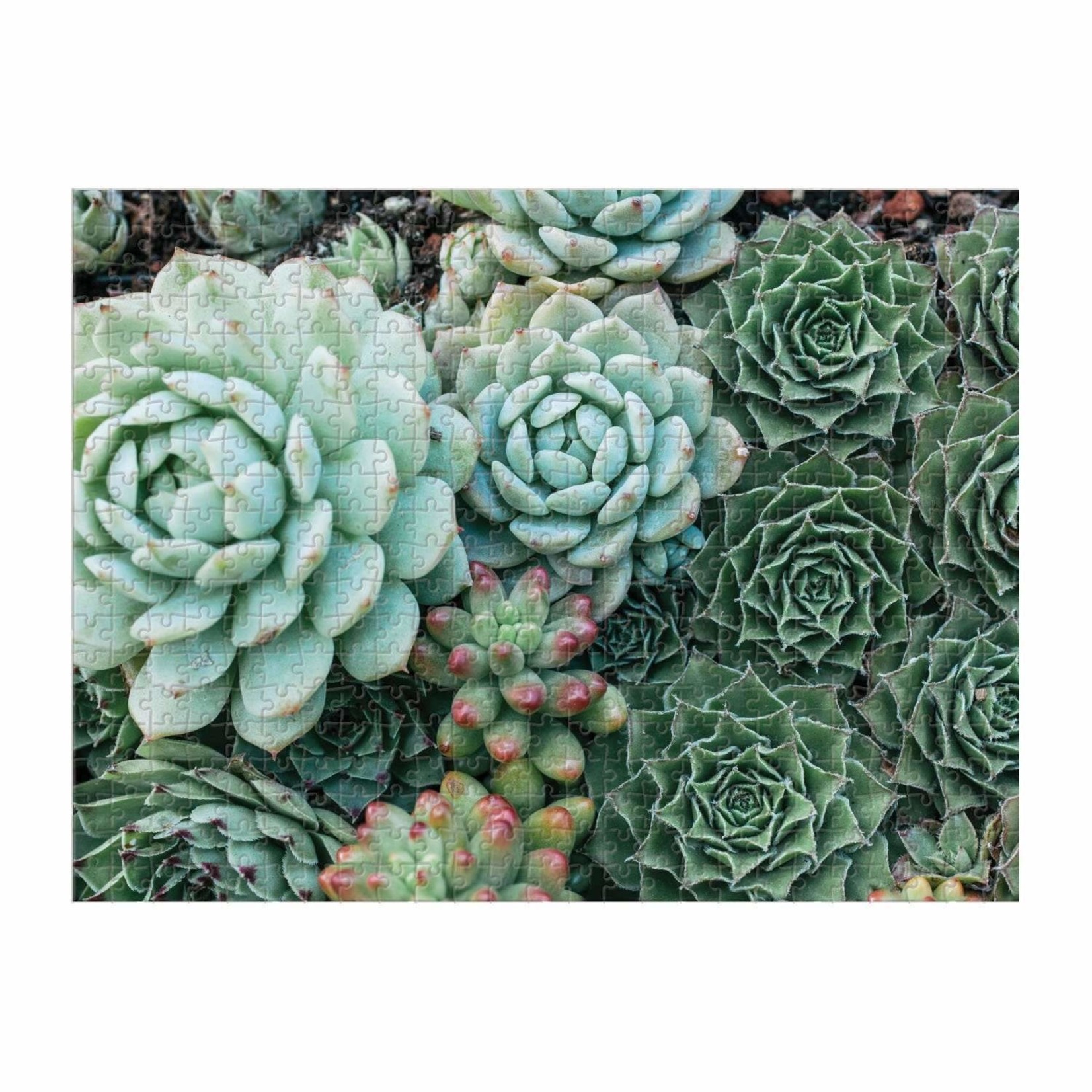 galison Succulent Garden Double-Sided 500 Piece Jigsaw Puzzle