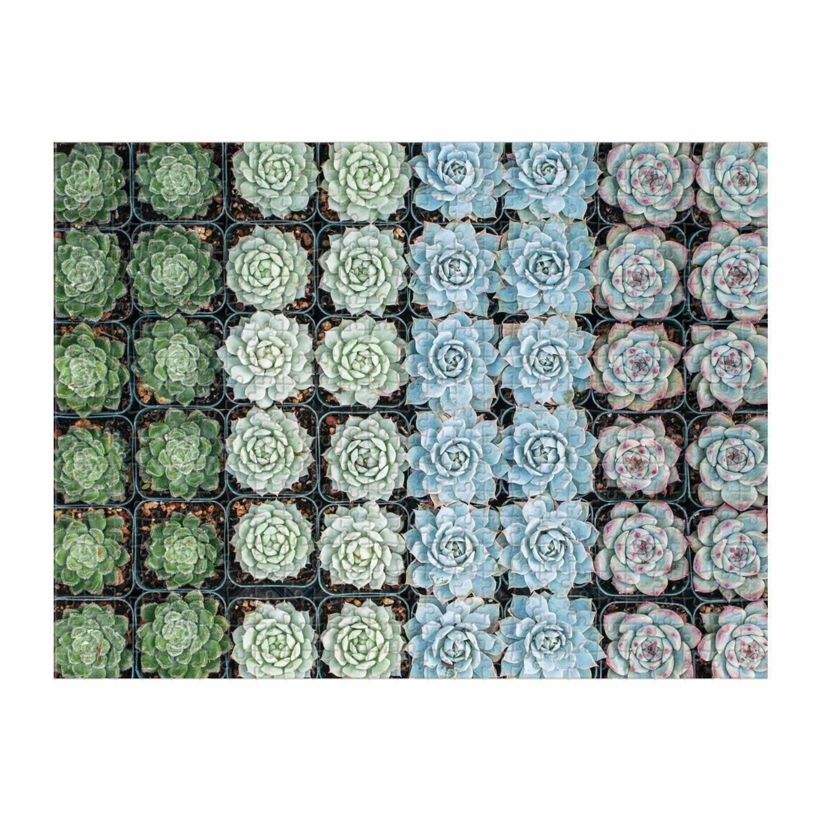 galison Succulent Garden Double-Sided 500 Piece Jigsaw Puzzle