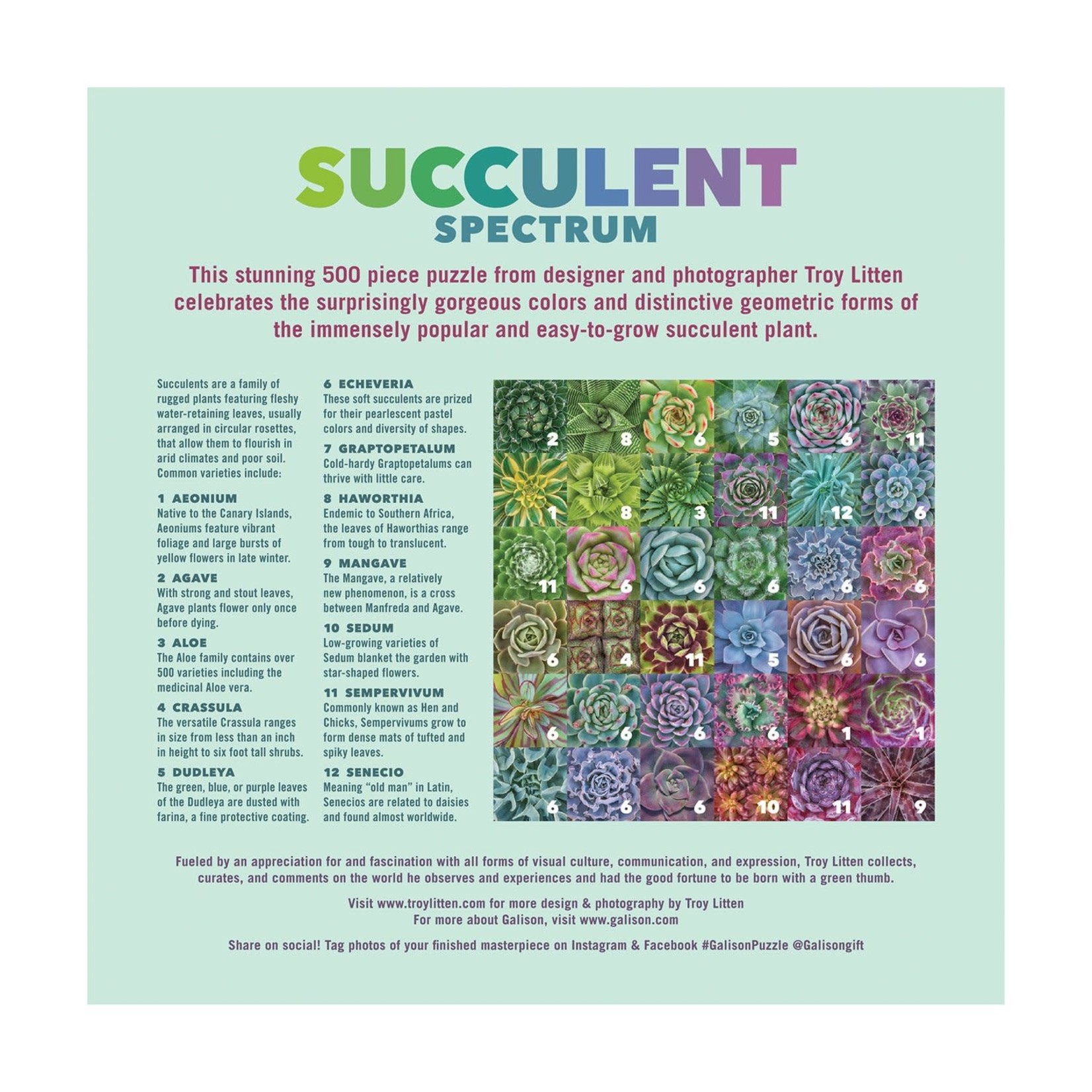 galison Succulent Spectrum 500 Piece Jigsaw Puzzle