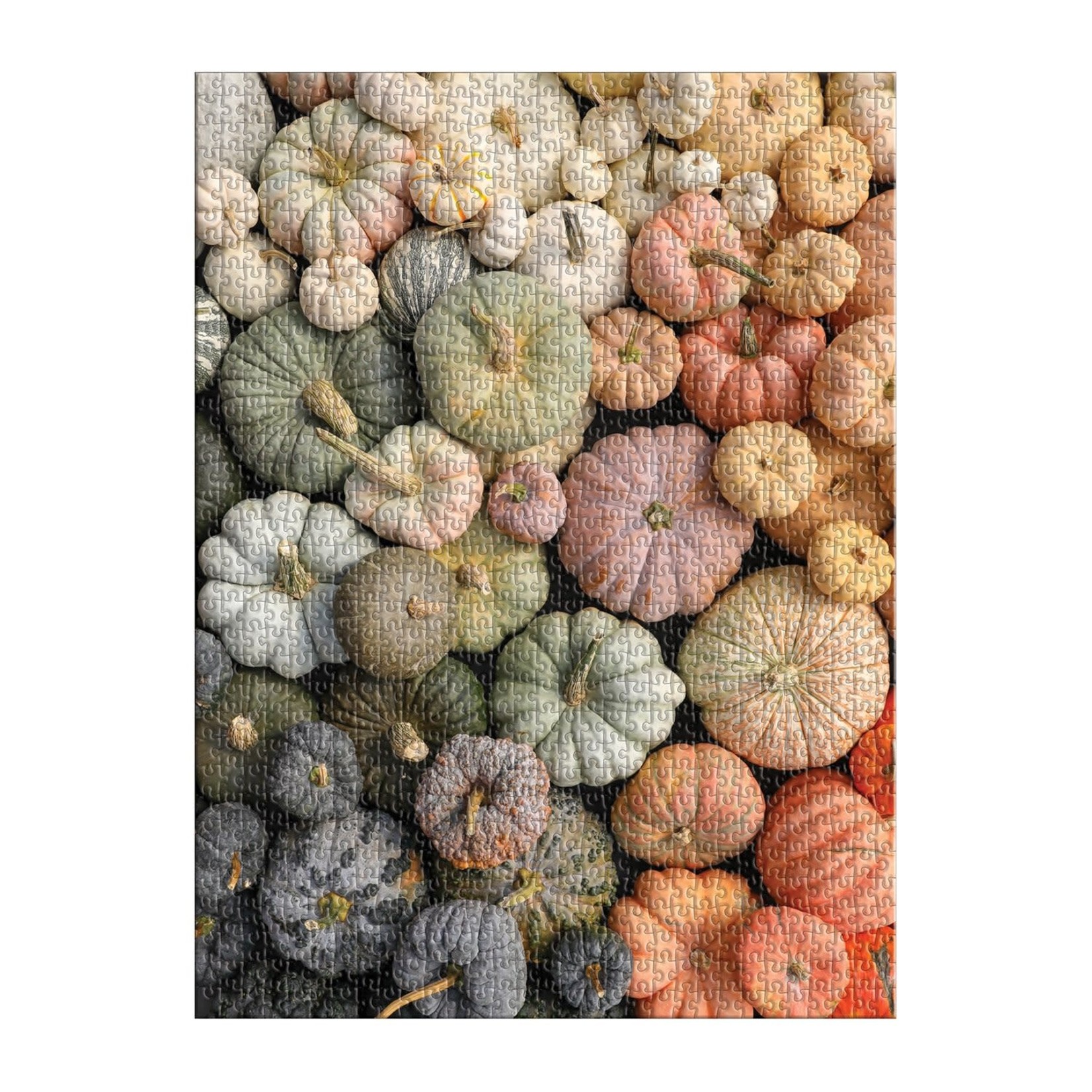 galison Heirloom Pumpkins 1000 Piece Puzzle