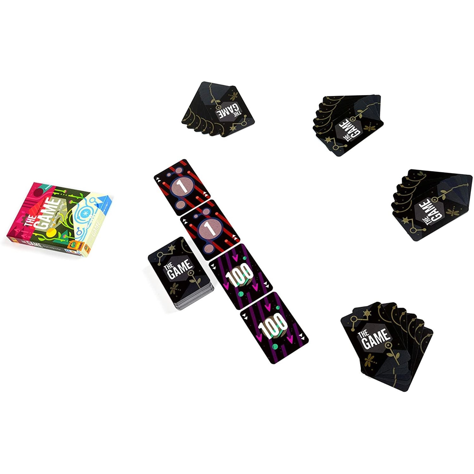 Pandasaurus Games Game, The